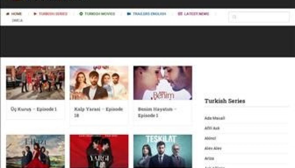 Turkish TV Shows